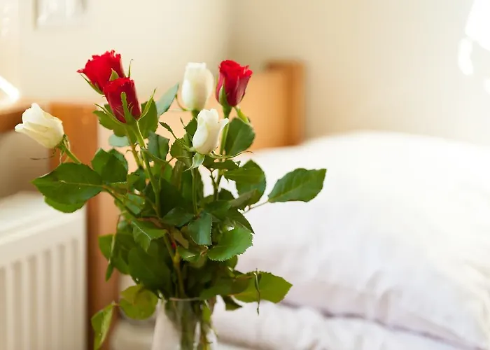 אתר נופש Osrodek Szkoleniowo- Wypoczynkowy Szarotka